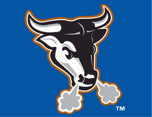 Durham Bulls 2000-2012 Cap Logo iron on transfers for T-shirts